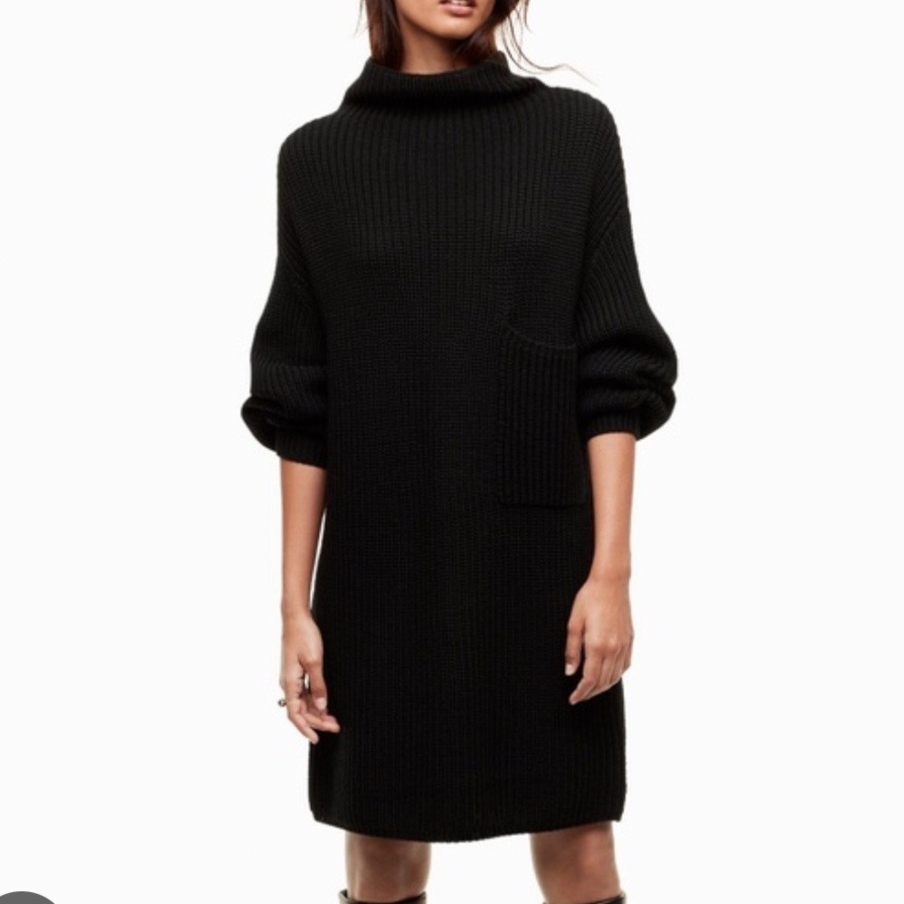 Aritzia Montpellier Dress
